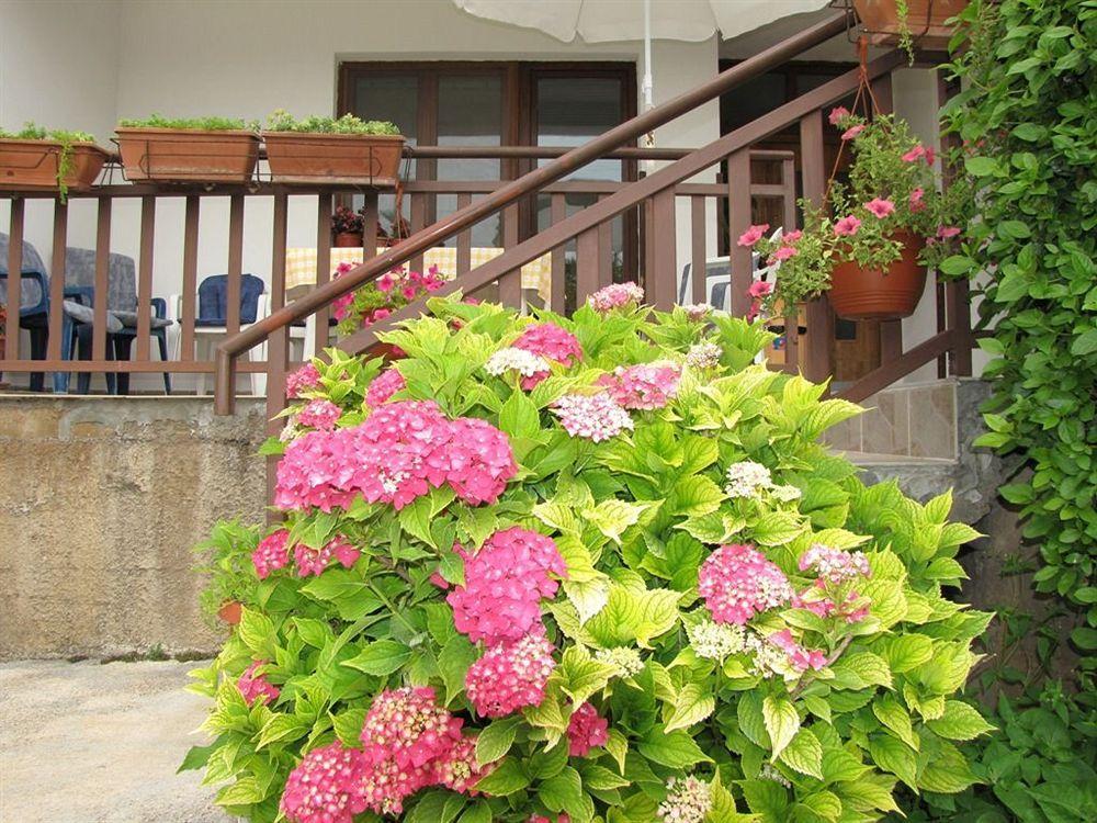 Pansion Ivanka Barac Medjugorje Exterior photo
