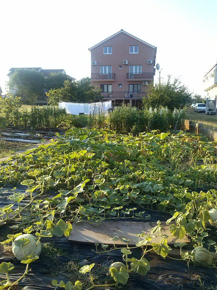 Pansion Ivanka Barac Medjugorje Exterior photo